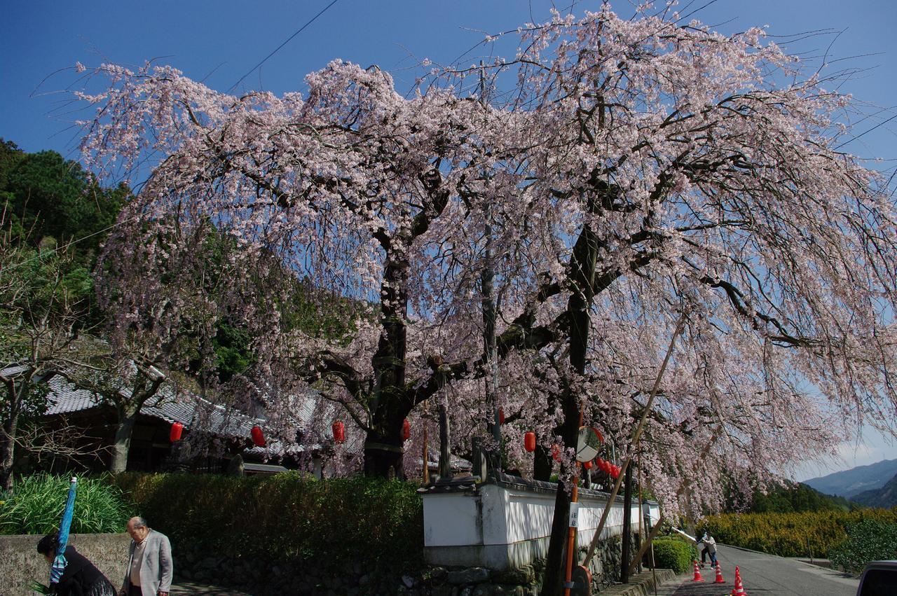 Kamiyama Onsen Hotel Shikinosato & Iyashinoyu Tokushima Extérieur photo